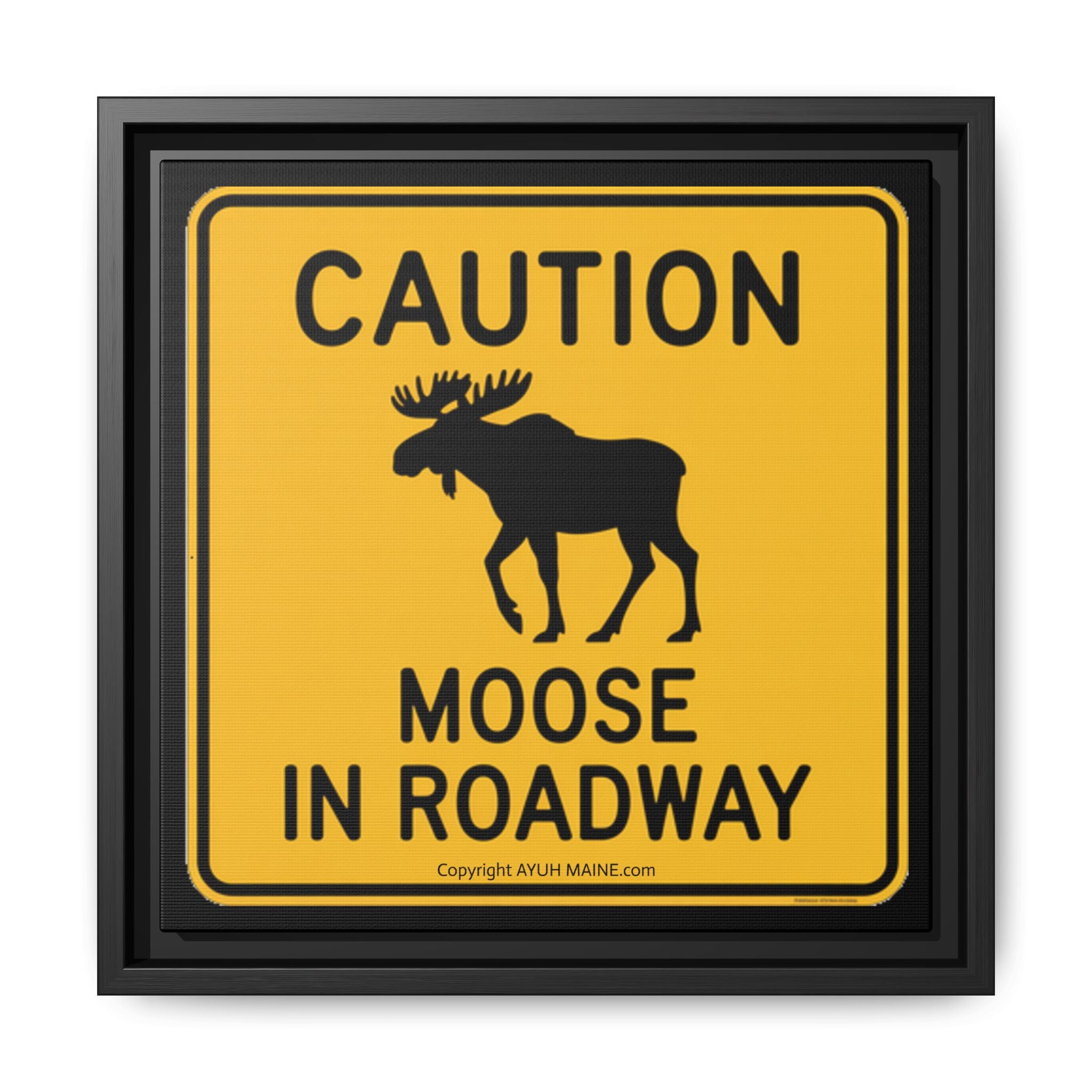 Maine MOOSE CAUTION Road Sign Aht - Framed Canvas Art